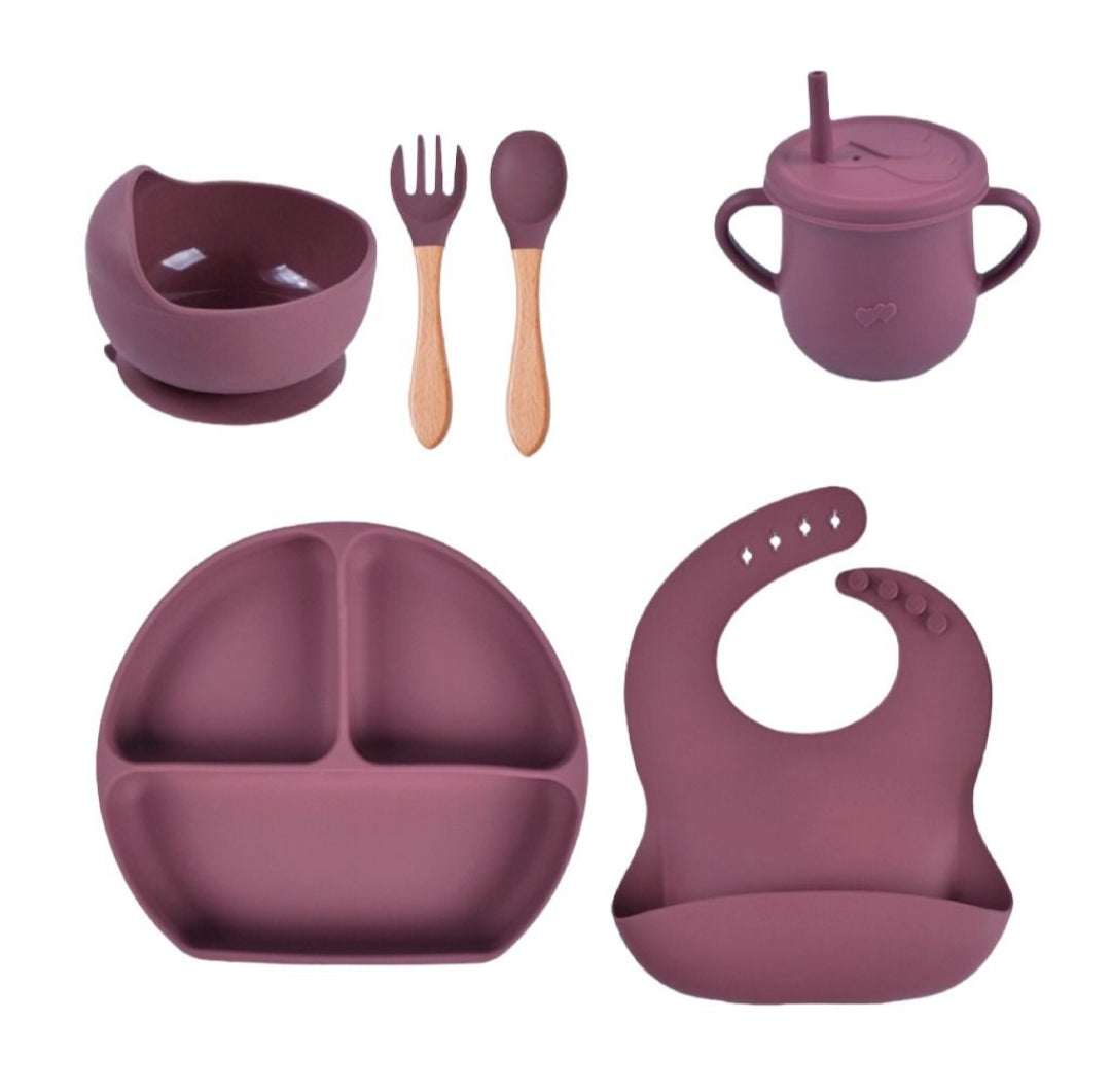 BPA Free Silicone Baby Feeding Set - 6pcs